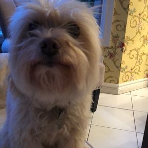 Meet your Posher, Cheryl